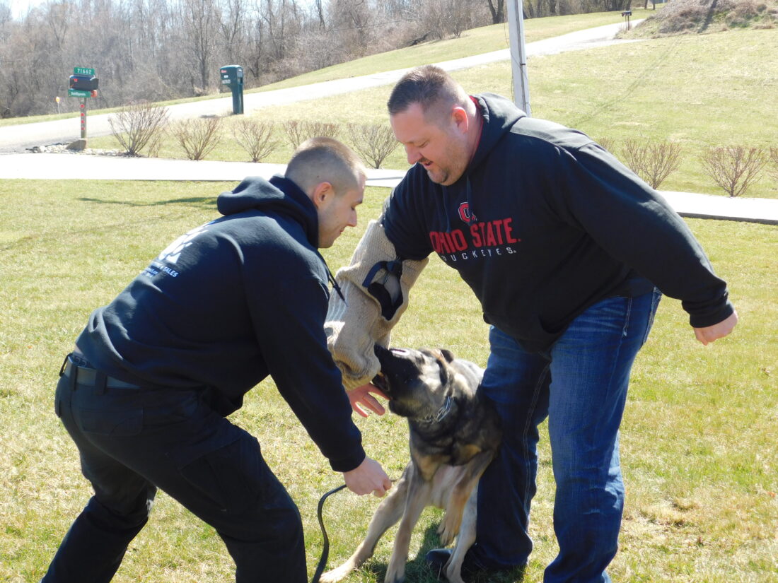 Martins Ferry’s K9 ‘Patch’ Making Namesake’s Family Proud News